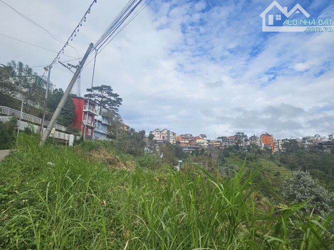 Đất hiếm  905m² chỉ 35 tỷ – trung tâm đường 3 Tháng 4, Đà Lạt – siêu view rừng thông  ! 🔥 - 2