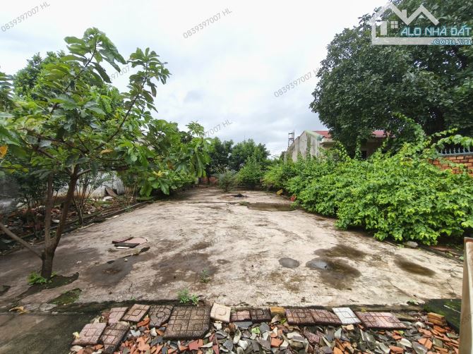 Cho thuê nhà đất diện tích lớn đường Nguyễn Khuyến Tân Lợi Đắk Lắk - 2