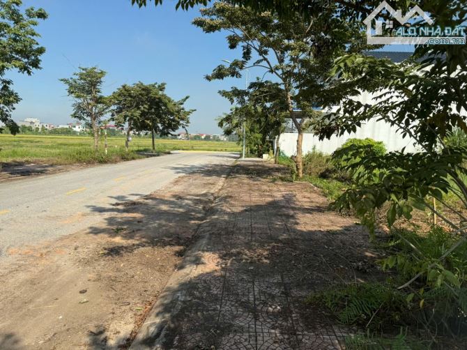 Bán đất view cánh đồng thoáng mát dịch vụ Lai Sơn, Đồng Tâm, Vĩnh Yên, Vĩnh Phúc - 2
