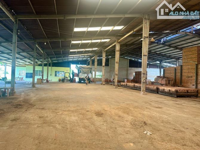 án công ty đang hoạt động tại Bình Thuận – nhà máy gạch, mỏ sét, đất trồng tràm - 2