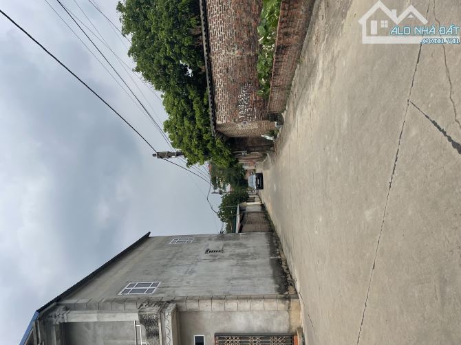 🔥Bán siêu phẩm lô góc 66m Kim Anh (Thắng Trí Minh Trí Sóc Sơn) 💥1.x tỷ💥 - 2