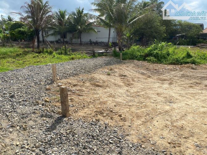 ✅Cần bán lô đất Phong Ấp - Ninh Bình - Xã Tân Định giá quá rẻ - 1
