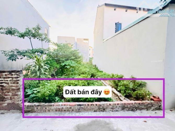 Hơn 4tỉ lô đất tại nam hồng đường thông ô tô vào đất gần cầu thăng long - 2