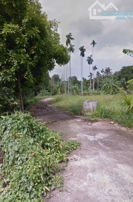 209m2 đất ở 1/Đường Bình Nhâm 16, Thuận An, gần sông Bình Nhâm - 2