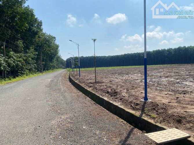 Đất sổ sẵn, 600m2, liền kề QL 14, Chơn Thành , Đồng Nai - 2