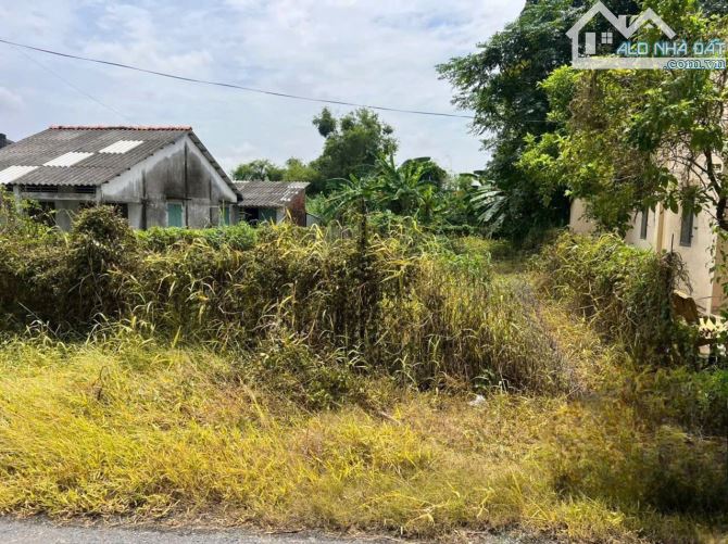590tr B.á.n (8x26) đất nền, mặt tiền nhựa gần Chợ Giồng Tân, Gò Công Đông, TG cũ - 2