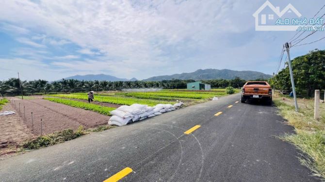LÔ GÓC THỊ TRẤN PHƯỚC HẢI - VIEW NÚI SIÊU ĐẸP - GẦN BIỂN PHƯỚC HẢI 🌈🌈🌈 LÔ GÓC 1439M2 - - 2