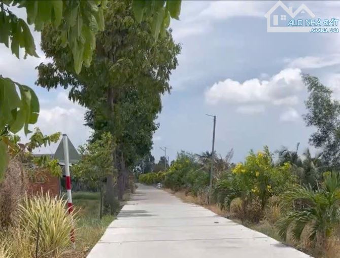 ✅ Bán 1000m2 đất lúa đường 5m thuộc Ấp 3 , Hoà Phú , Châu Thành _ DT: 12.8 x 84m2 - 2
