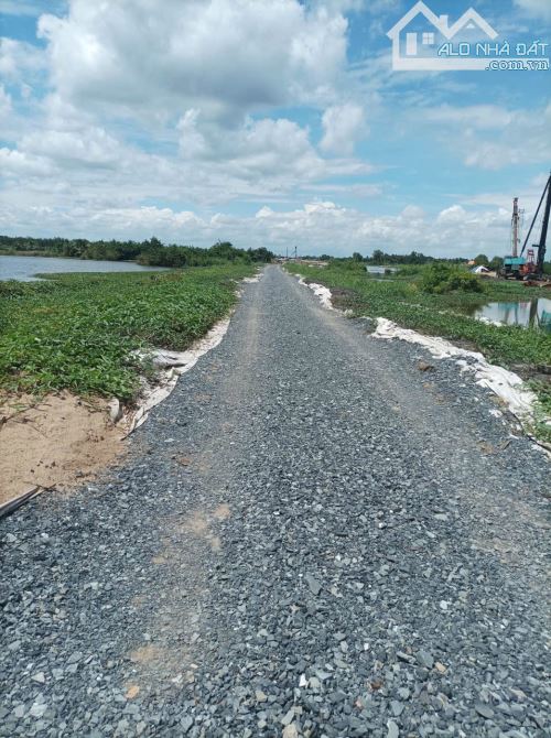 BÁN ĐẤT MẪU 1.1HA MẶT TIỀN VÀNH ĐAI 3 BÌNH CHÁNH - 2