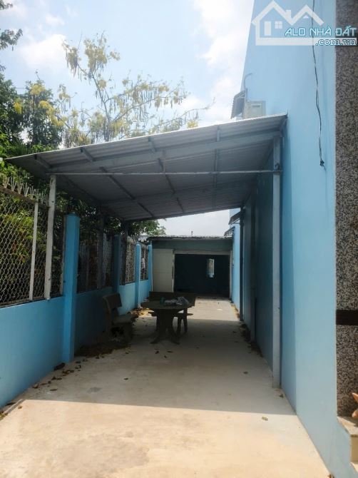 💲CHỈ 26 TRIỆU/M² – HẺM Ô TÔ – NGANG 8M NỞ HẬU TÀI LỘC ➡️ Đỗ Văn Dậy, Tân Hiệp, Hóc Môn 💰 - 2