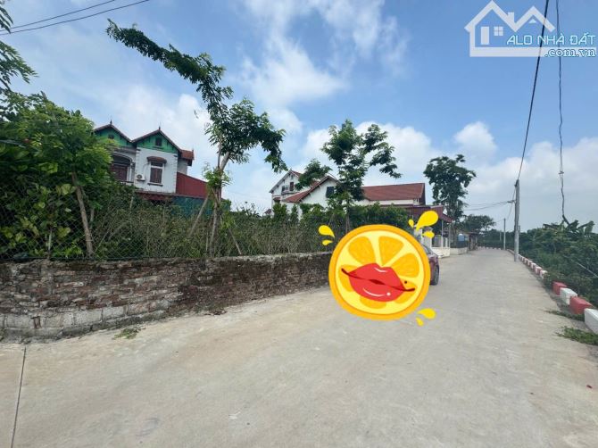 Bán lô đất 64,5m² tại Quán Trạch – Văn Giang, giá chỉ 3,3 tỷ! - 2