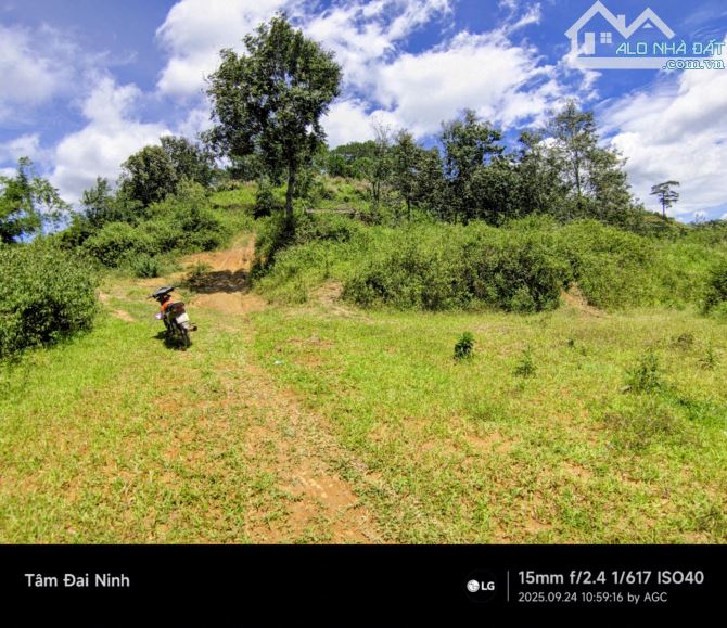 Bán nhanh 2.5ha đất bám suối xã Tà Năng,Lâm Đồng giá rẻ chỉ 100 triệu/sào thương lượng - 2