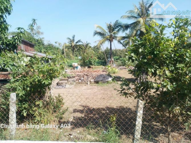 Bán 5.389m² đất X. Nhơn Ái, H. Phong Điền, TP. Cần Thơ, có sẵn 130 gốc sầu riêng 4 năm tuổ - 2