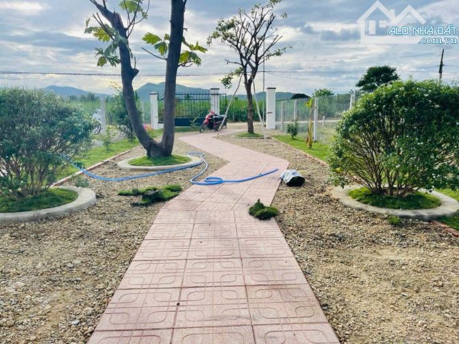Nhà vườn Đẹp giá Rẻ - Diên Đồng - Diên Khánh - Khánh Hòa - 2