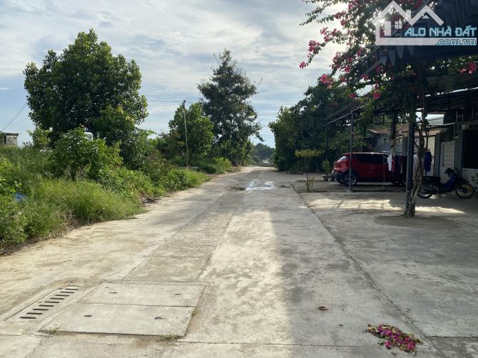 Bán Lô Đất Mặt Tiền Đường Ô Tô 5 Mét Cạnh Chợ Hoà Thọ Tây - Quận Cẩm Lệ - 2