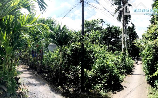 Đất Đẹp 18x17m Đường Bùi Công Trừng X.Nhị Bình Hóc Môn Giá 4.8 Tỷ Thổ Cư 200m2 - 2