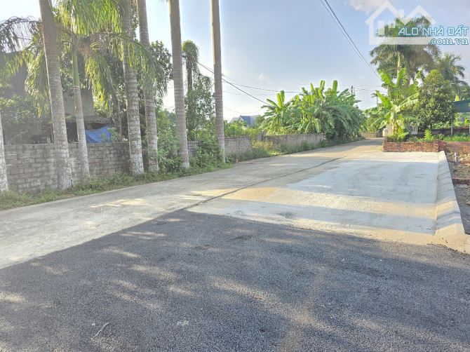 Bán đất 100m² Đồng Trạng – Cổ Đông - 2