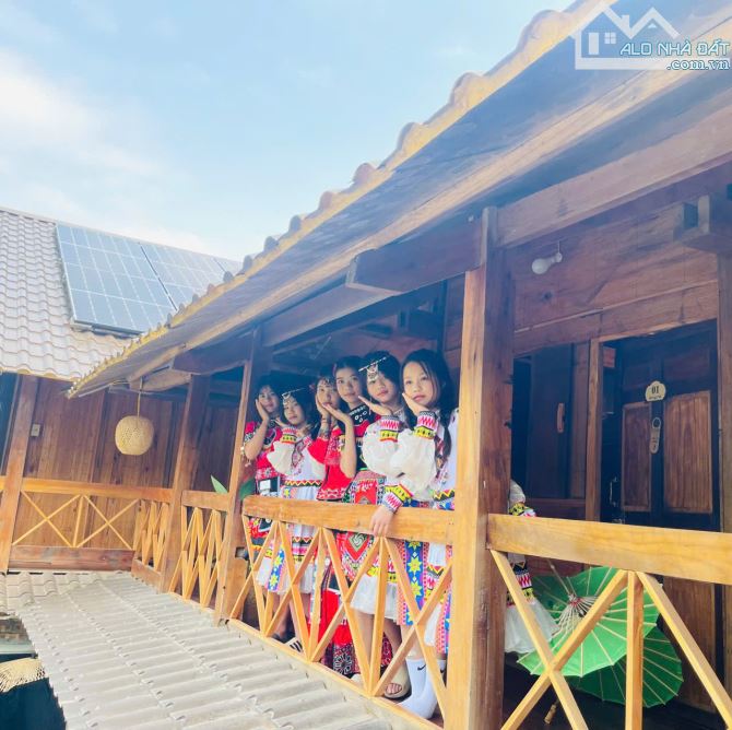 LÔ ĐẤT VÀNG HOMESTAY 3HA TẠI TÂN LẠC HB  KHOẢNG 16,5 TỶ - 5