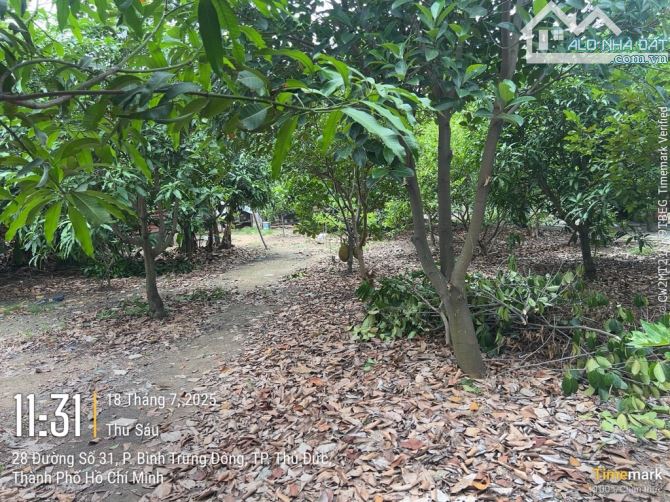 Đất Mặt Tiền Đỗ Văn Dậy Thị Tấn Hóc Môn 3861m2Giá Đầu Tư Chỉ 148Tỷ - 3