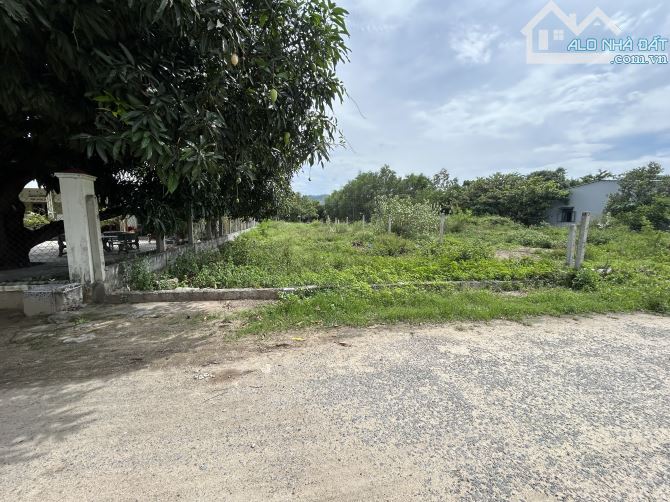 Bán lô đất thôn Triệu Hải, xã Cam An Bắc, huyện Cam Lâm, Khánh Hoà - 3