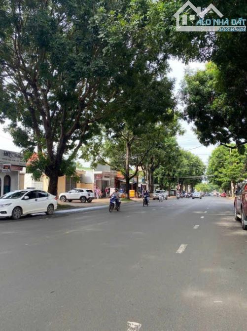 Bán đất mặt tiền Y Ngông , kinh doanh mọi ngành nghề - 3