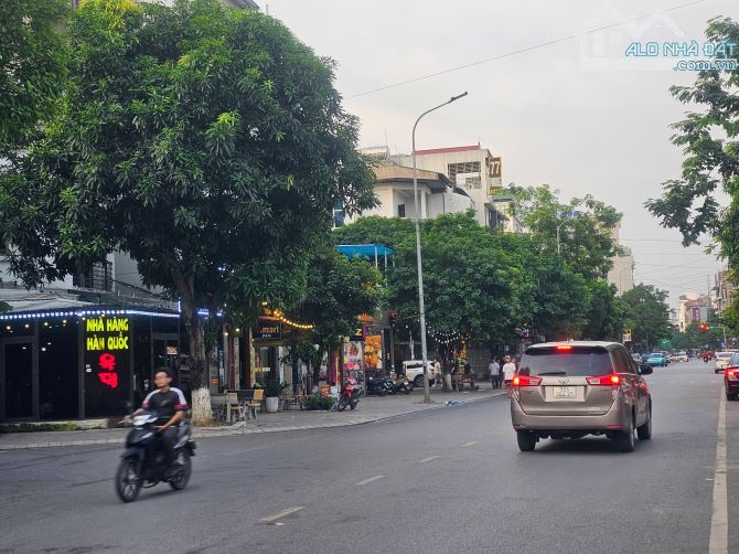 Bán nhà biệt thự 3.5 tầng đường Ngọc Hân Công chúa áp ngay Lý Nhân Tông - 3