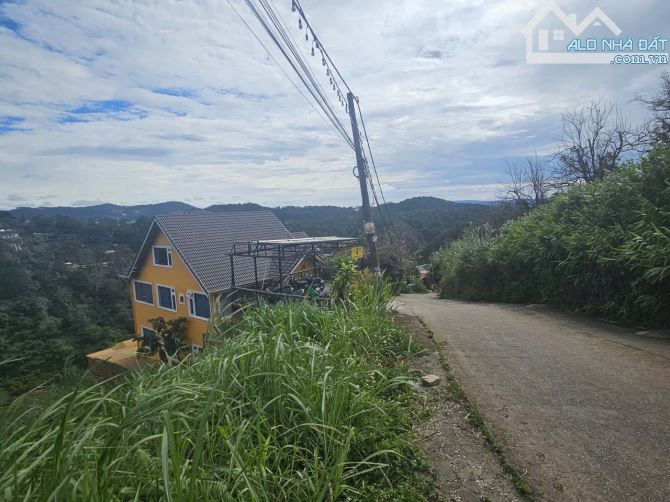 Đất hiếm  905m² chỉ 35 tỷ – trung tâm đường 3 Tháng 4, Đà Lạt – siêu view rừng thông  ! 🔥 - 3