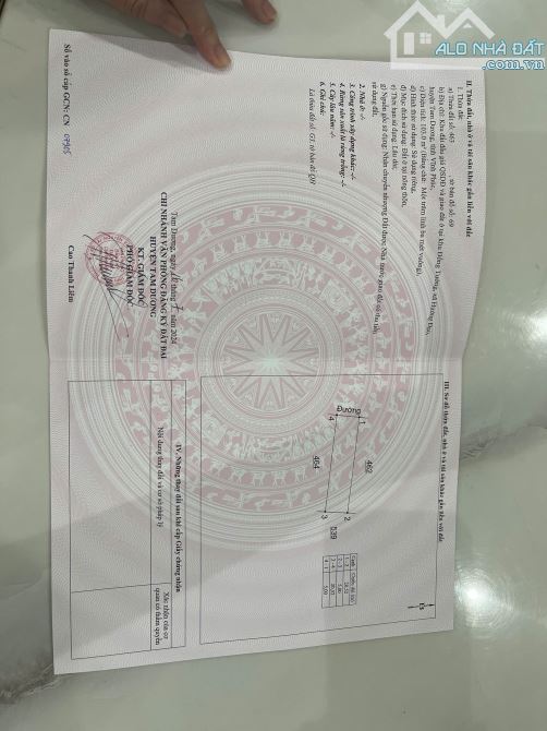 Bán đất đấu giá Đồng Tướng, Hướng Đạo, Tam Dương, Vĩnh Phúc - 3