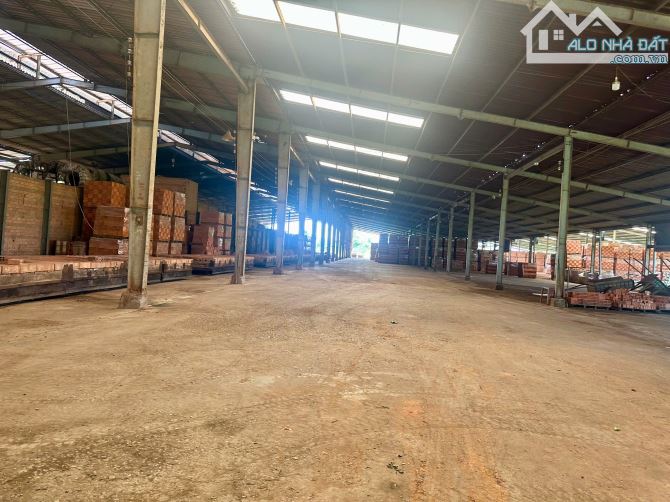án công ty đang hoạt động tại Bình Thuận – nhà máy gạch, mỏ sét, đất trồng tràm - 3
