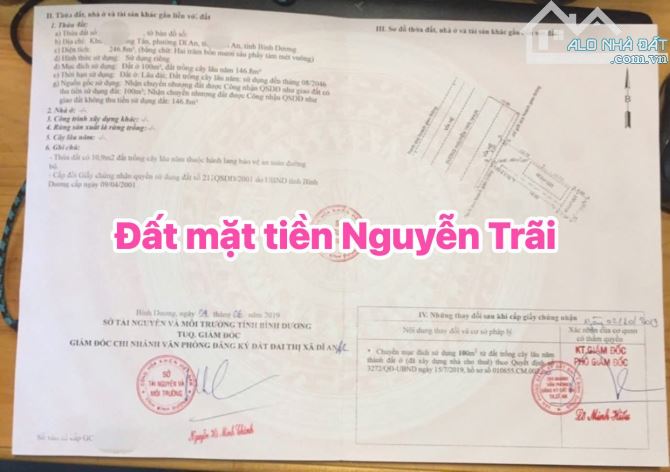 Bán Nhanh 256m² Mặt Tiền Nguyễn Trãi – Kinh Doanh Đỉnh, Sinh Lời Bền Vững - 3