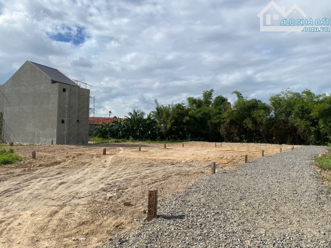 ✅Cần bán lô đất Phong Ấp - Ninh Bình - Xã Tân Định giá quá rẻ - 2