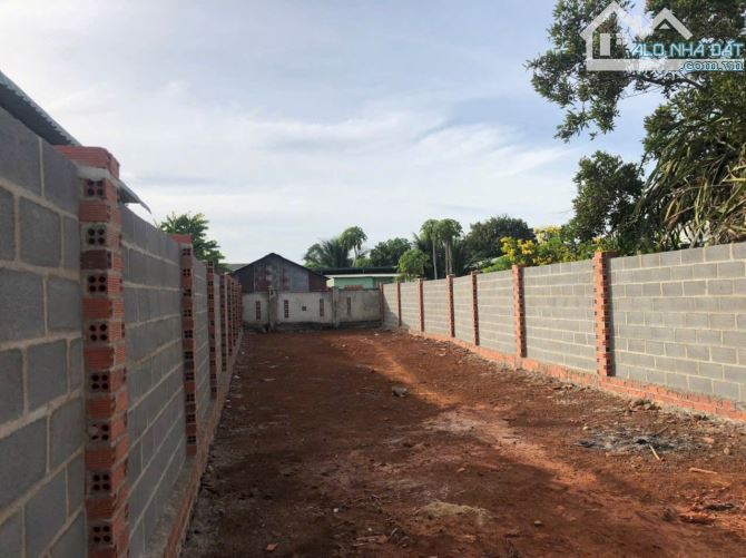 🏘️🏘️Chính chủ gửi bán lô đất THỊ TRẤN ĐẤT ĐỎ  Mặt tiền đường nhựa , kế quán hương quê - 3