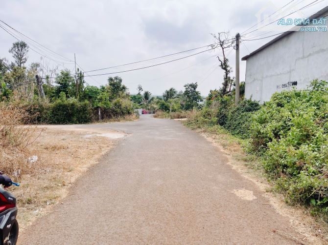 🏡 BÁN ĐẤT MẶT TIỀN ĐƯỜNG NHỰA THÔN 8 XÃ CƯ BUA PHƯỜNG BUÔN MA THUỘT ĐẮK LẮK - 3