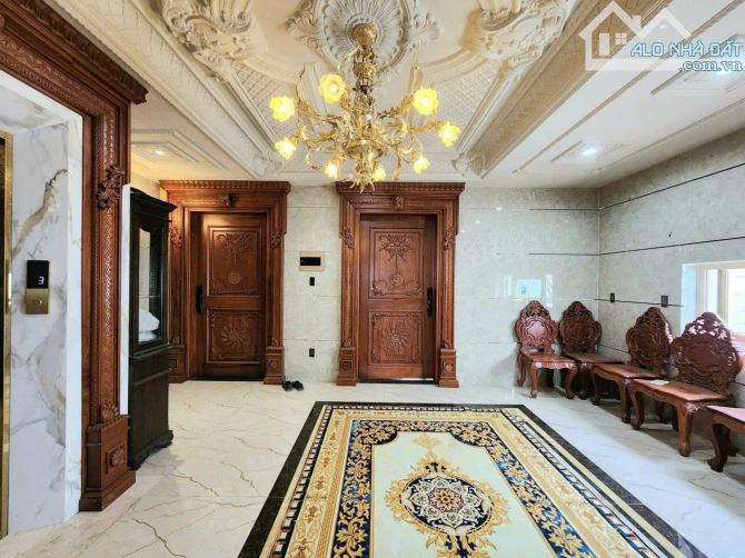 Bán biệt thự phong cách Châu Âu, 500m2, khu Tên Lửa, Bình Tân. - 3