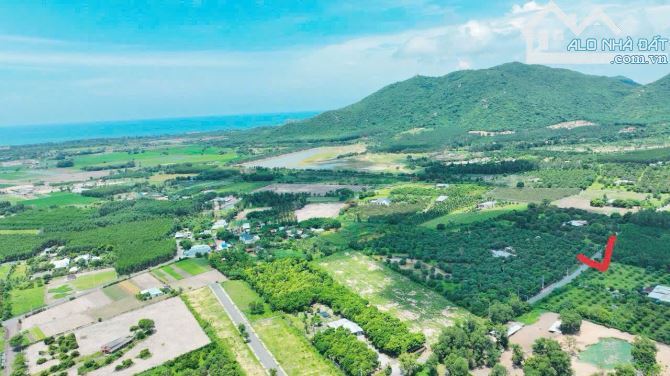 LÔ GÓC THỊ TRẤN PHƯỚC HẢI - VIEW NÚI SIÊU ĐẸP - GẦN BIỂN PHƯỚC HẢI 🌈🌈🌈 LÔ GÓC 1439M2 - - 3