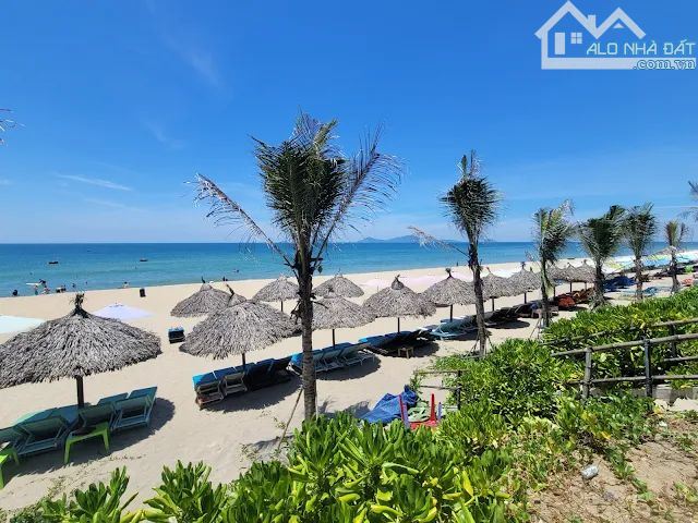 🎉🎉 Bán đất diện tích khủng tặng nhà cấp 4 Nguyễn Phan Vinh- GIÁ RẺ ĐẦU TƯ- TIỀM NĂNG - 3