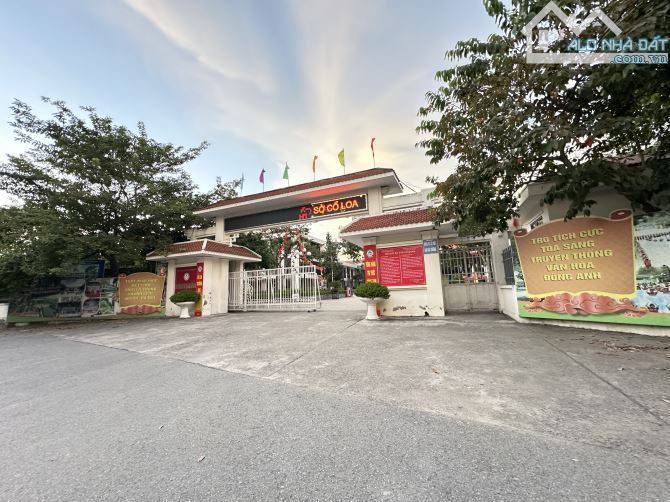 BÁN 50m2 ĐẤT VÀNG CỔ LOA  – Ô TÔ TẢI NGỦ TRONG ĐẤT – GẦN CẦU TỨ LIÊN CHỈ NHỈNH 5 TỶ XÍU. - 3