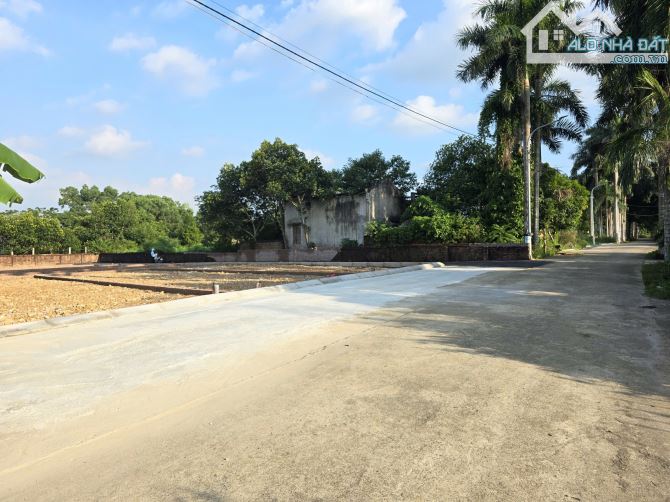 Bán đất 100m² Đồng Trạng – Cổ Đông - 3