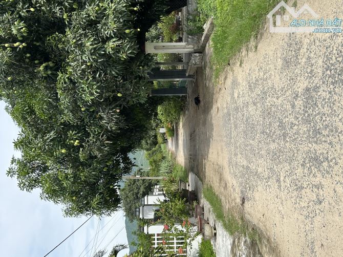 Bán lô đất thôn Triệu Hải, xã Cam An Bắc, huyện Cam Lâm, Khánh Hoà - 4