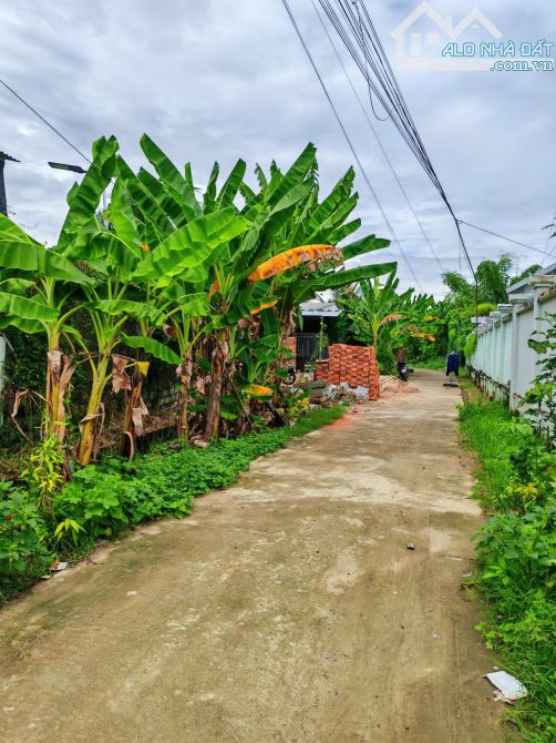 Bán đất Diên Toàn sau lưng UB Xã, cách Võ Nguyên Giáp chỉ 80m - 4
