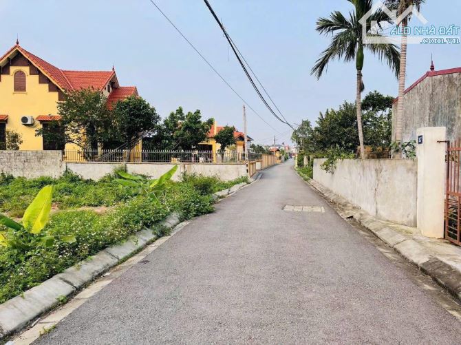 Bán đất Bàng La - Đồ Sơn - Hải Phòng - 4