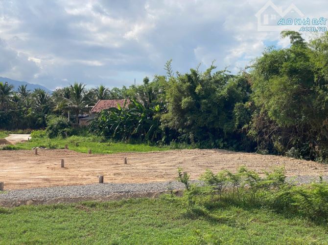✅Cần bán lô đất Phong Ấp - Ninh Bình - Xã Tân Định giá quá rẻ - 3