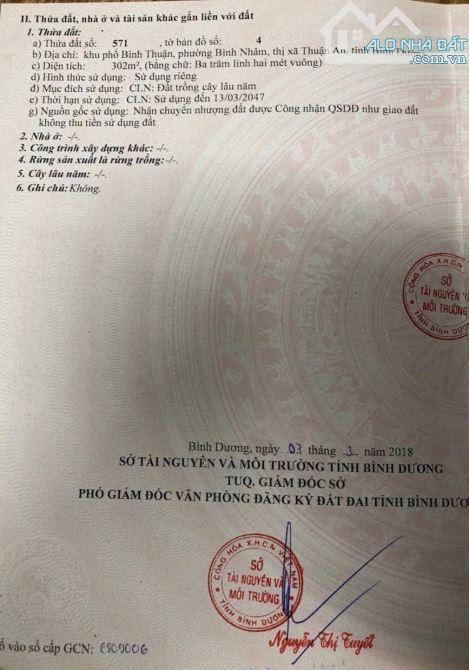 Lô đất 300m2 (ngang 10m) đường Bình Nhâm 08, gần sông Sài Gòn - 4