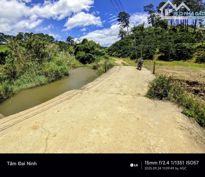 Bán nhanh 2.5ha đất bám suối xã Tà Năng,Lâm Đồng giá rẻ chỉ 100 triệu/sào thương lượng - 4