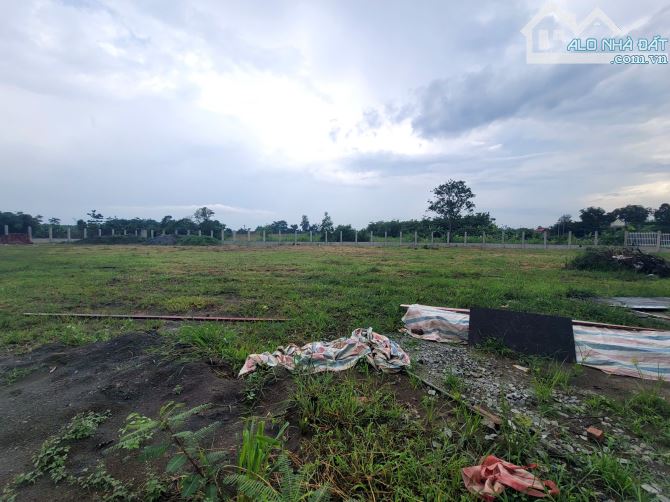Bán Gấp 1 Mẫu Đất, = 1Ha có sẵn 300m² thổ cư. Giá 10,8 tỷ, xã Xuân Đông, Cẩm Mỹ, Đồng Nai - 5