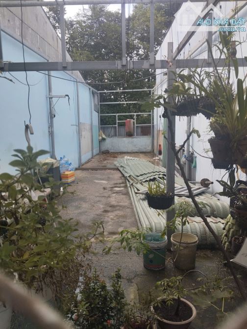 Bán Đất sổ hồng riêng mặt tiền đường nhựa tân xuân 7,Tân Xuân hóc môn - 5