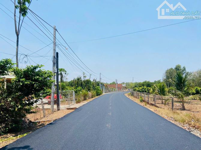 VƯỜN NHÃN CỰC ĐẸP, SẴN THỔ CƯ, GẦN TỈNH LỘ, LIỀN KỀ CAO TỐC LONG THÀNH - BIỂN HỒ TRÀM - 5