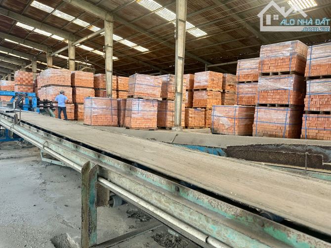 án công ty đang hoạt động tại Bình Thuận – nhà máy gạch, mỏ sét, đất trồng tràm - 6