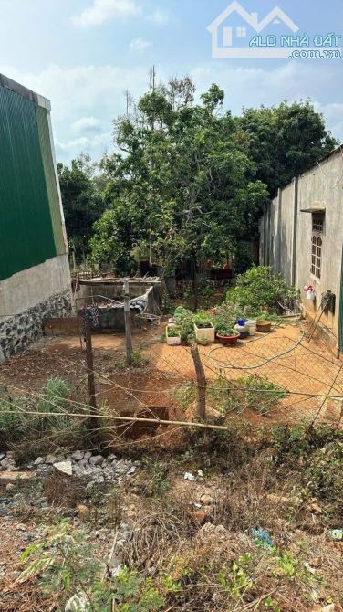 CẦN BÁN LÔ ĐẤT MẶT TIỀN DÃ TƯỢNG . P. TÂN AN, BUÔN MA THUỘT GIÁ CHỈ 3ty 980 - 6