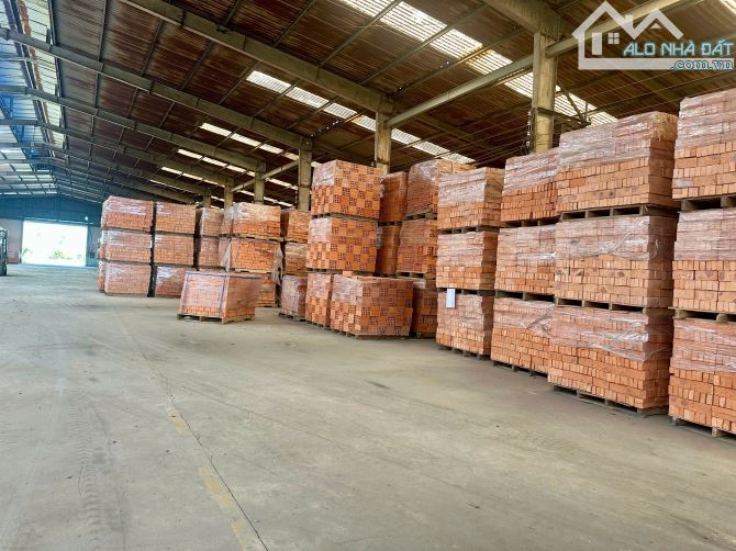 án công ty đang hoạt động tại Bình Thuận – nhà máy gạch, mỏ sét, đất trồng tràm - 8